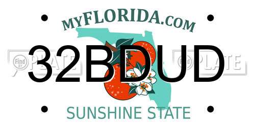 32BDUD Florida License Plate