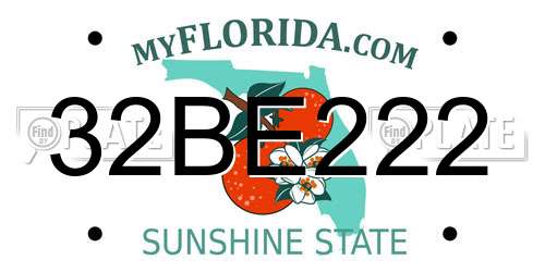 32BE222 Florida License Plate
