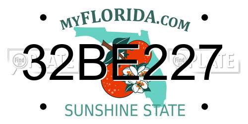 32BE227 Florida License Plate