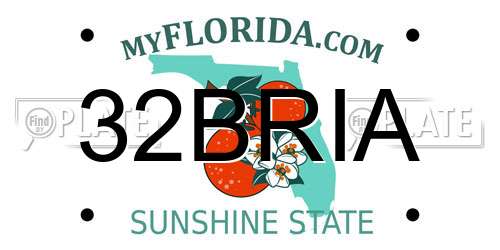 32BRIA Florida License Plate