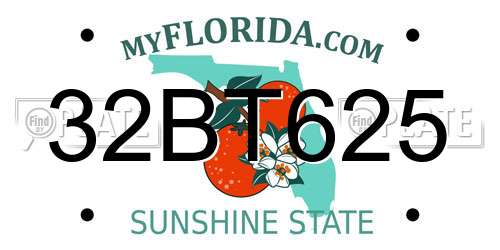 32BT625 Florida License Plate