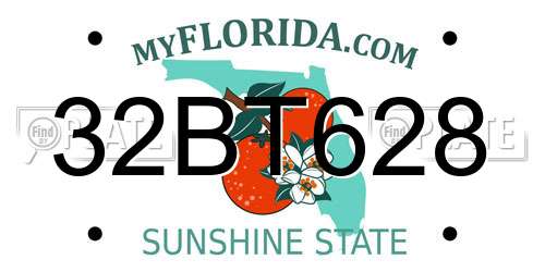32BT628 Florida License Plate