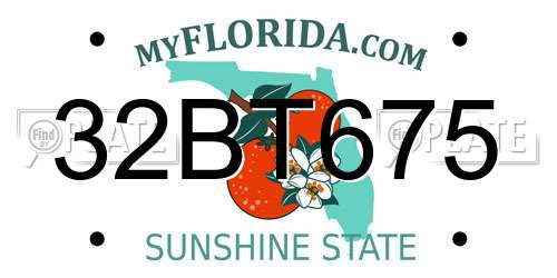 32BT675 Florida License Plate