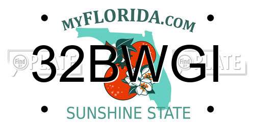 32BWGI Florida License Plate