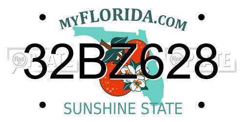 32BZ628 Florida License Plate