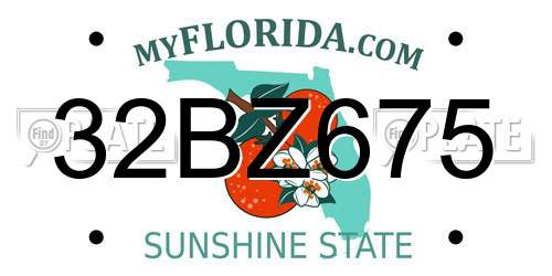32BZ675 Florida License Plate