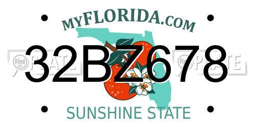 32BZ678 Florida License Plate