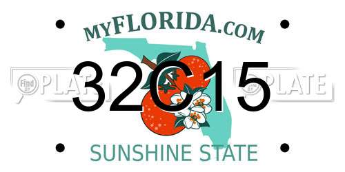 32C15 Florida License Plate