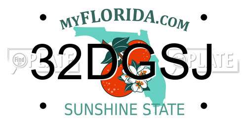 32DGSJ Florida License Plate
