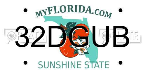 32DGUB Florida License Plate