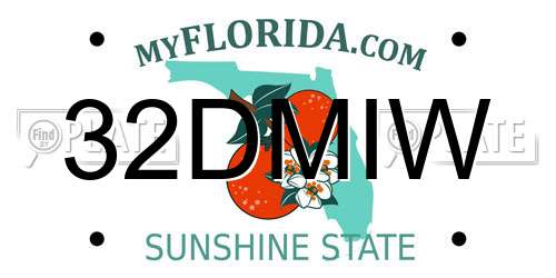 32DMIW Florida License Plate