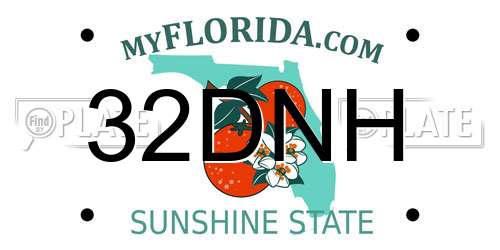 32DNH Florida License Plate
