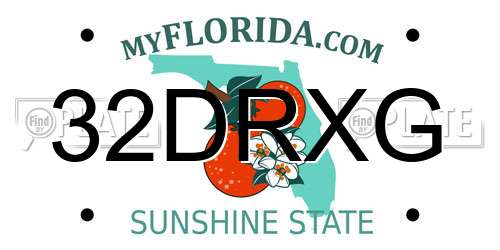 32DRXG Florida License Plate