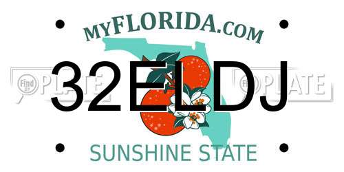 32ELDJ Florida License Plate