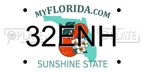 32ENH Florida License Plate