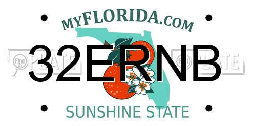 32ERNB Florida License Plate