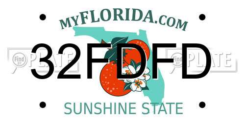 32FDFD Florida License Plate