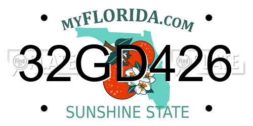32GD426 Florida License Plate
