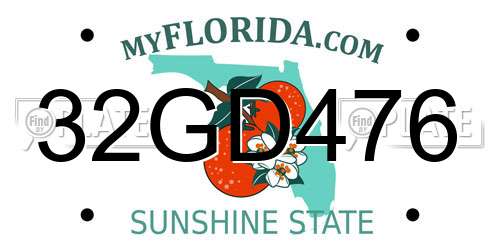 32GD476 Florida License Plate