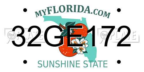 32GE172 Florida License Plate