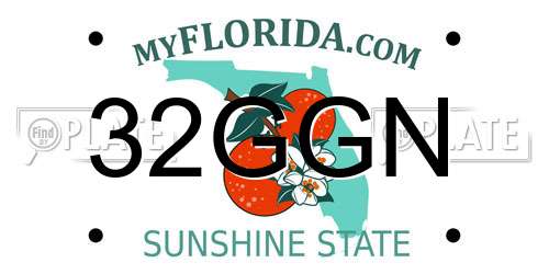 32GGN Florida License Plate