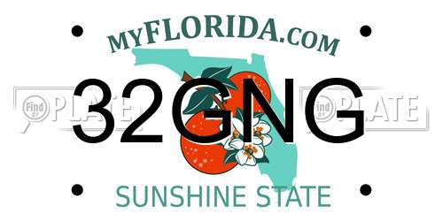 32GNG Florida License Plate