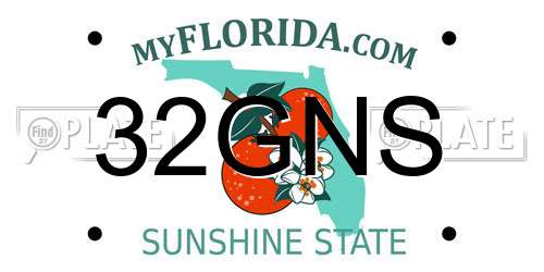 32GNS Florida License Plate