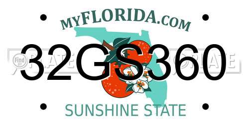 32GS360 Florida License Plate