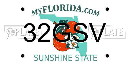 32GSV Florida License Plate