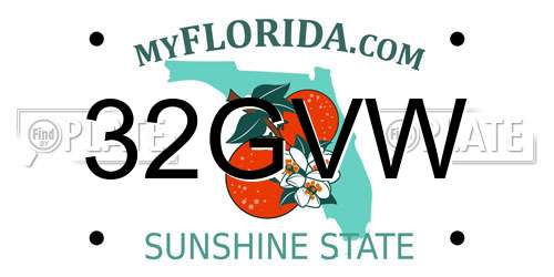 32GVW Florida License Plate