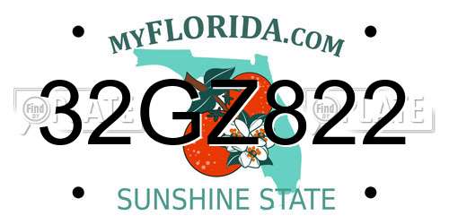 32GZ822 Florida License Plate