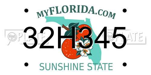 32H345 Florida License Plate