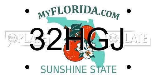 32HGJ Florida License Plate