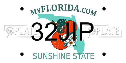 32JIP Florida License Plate