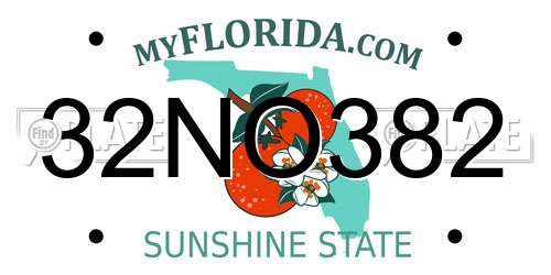 32NO382 Florida License Plate