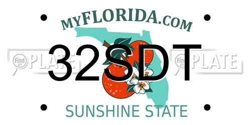 32SDT Florida License Plate