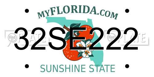 32SE222 Florida License Plate