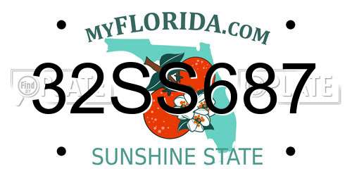 32SS687 Florida License Plate