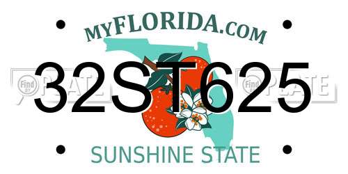 32ST625 Florida License Plate