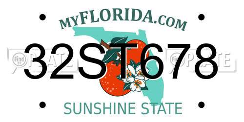 32ST678 Florida License Plate