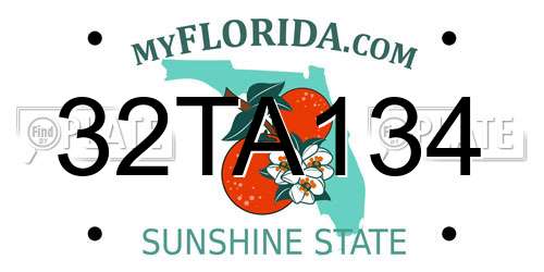 32TA134 Florida License Plate