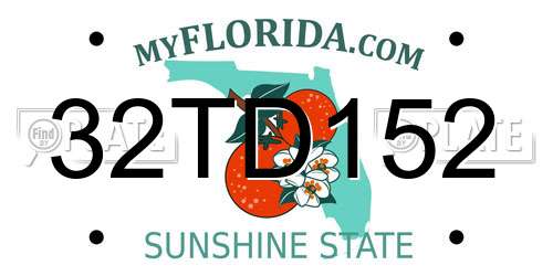 32TD152 Florida License Plate