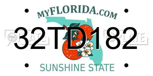 32TD182 Florida License Plate