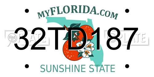 32TD187 Florida License Plate