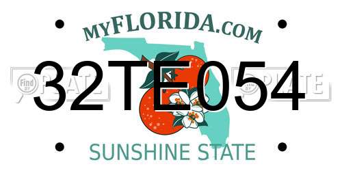 32TE054 Florida License Plate