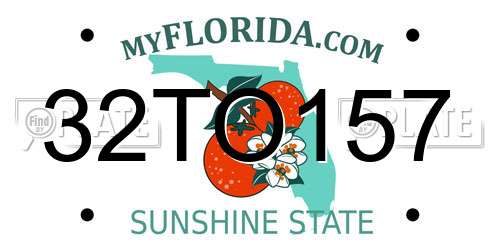 32TO157 Florida License Plate