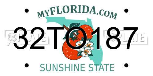 32TO187 Florida License Plate