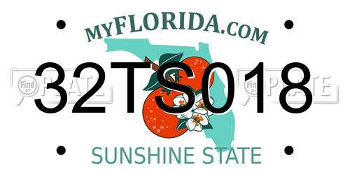 32TS018 Florida License Plate