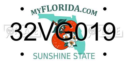 32VG019 Florida License Plate