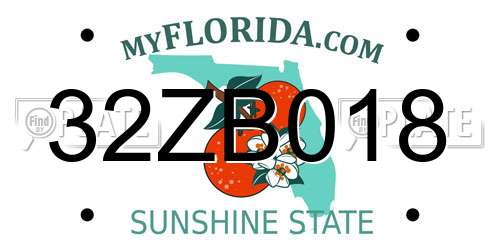 32ZB018 Florida License Plate